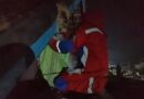 SARANG TAWON VESPA YANG MERESAHKAN WARGA PEMATANG PASIR BERHASIL DI EVAKUASI ANGGOTA DAMKAR LAMPUNG SELATAN