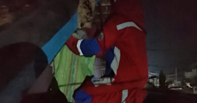 SARANG TAWON VESPA YANG MERESAHKAN WARGA PEMATANG PASIR BERHASIL DI EVAKUASI ANGGOTA DAMKAR LAMPUNG SELATAN