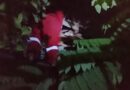 SARANG TAWON VESPA YANG MERESAHKAN WARGA SUKARATU BERHASIL DI EVAKUASI ANGGOTA DAMKAR LAMPUNG SELATAN