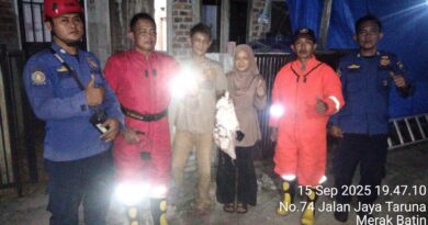 SARANG TAWON VESPA YANG MERESAHKAN WARGA TANJUNG SARI BERHASIL DI EVAKUASI ANGGOTA DAMKAR LAMPUNG SELATAN