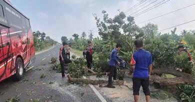 ANGGOTA DAMKAR MELAKSANAKAN PEMANGKASAN POHON DI JALAN LINTAS SUMATERA DESA BAKAUHENI