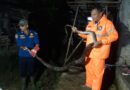 ULAR SANCA PANJANG 4 METER DI KANDANG AYAM RUMAH WARGA PERUMAHAN KORPRI KALIANDA BERHASIL DIEVAKUASI DAMKAR LAMPUNG SELATAN