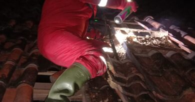 SARANG TAWON VESPA YANG MERESAHKAN WARGA CANDIMAS BERHASIL DI EVAKUASI ANGGOTA DAMKAR LAMPUNG SELATAN