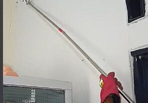 ANGGOTA DAMKAR LAMPUNG SELATAN BERHASIL EVAKUASI TOKEK DI RUMAH WARGA KALIANDA