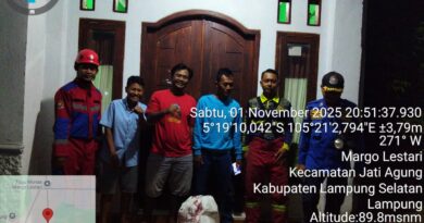 SARANG TAWON VESPA YANG MERESAHKAN WARGA MARGO LESTARI BERHASIL DI EVAKUASI ANGGOTA DAMKAR LAMPUNG SELATAN