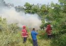 KEBAKARAN LAHAN DI PINTU TOL KOTA BARU BERHASIL DI PADAMKAN DAMKAR LAMPUNG SELATAN