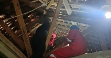 SARANG TAWON MADU YANG MERESAHKAN WARGA CANGGU BERHASIL DI EVAKUASI ANGGOTA DAMKAR LAMPUNG SELATAN