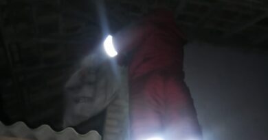 SARANG TAWON VESPA YANG MERESAHKAN WARGA BAKTI RASA LAMPUNG SELATAN BERHASIL DI EVAKUASI ANGGOTA DAMKAR LAMPUNG SELATAN