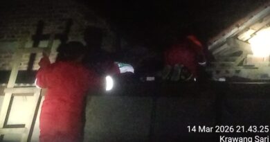 SARANG TAWON VESPA YANG MERESAHKAN WARGA KRAWANG SARI LAMPUNG SELATAN BERHASIL DI EVAKUASI ANGGOTA DAMKAR LAMPUNG SELATAN