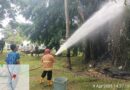 TIM FIRE RESCUE DAMKAR LAMPUNG SELATAN MELAKSANAKAN PEMADAMAN KEBAKARAN POHON BERINGIN DI KOMPLEK BATALYON 143 NATAR